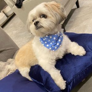 Meet your Posher, Nayelli